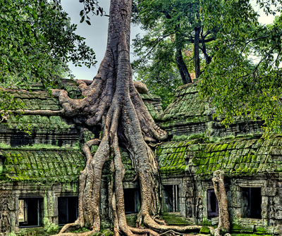 Cambodia for nomads