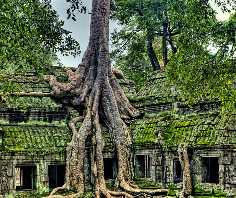 Cambodia for nomads